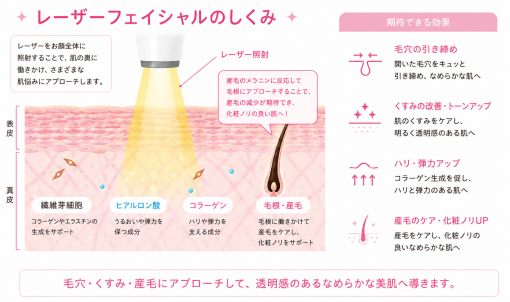 GentleMax Pro Plus 医療レーザー脱毛